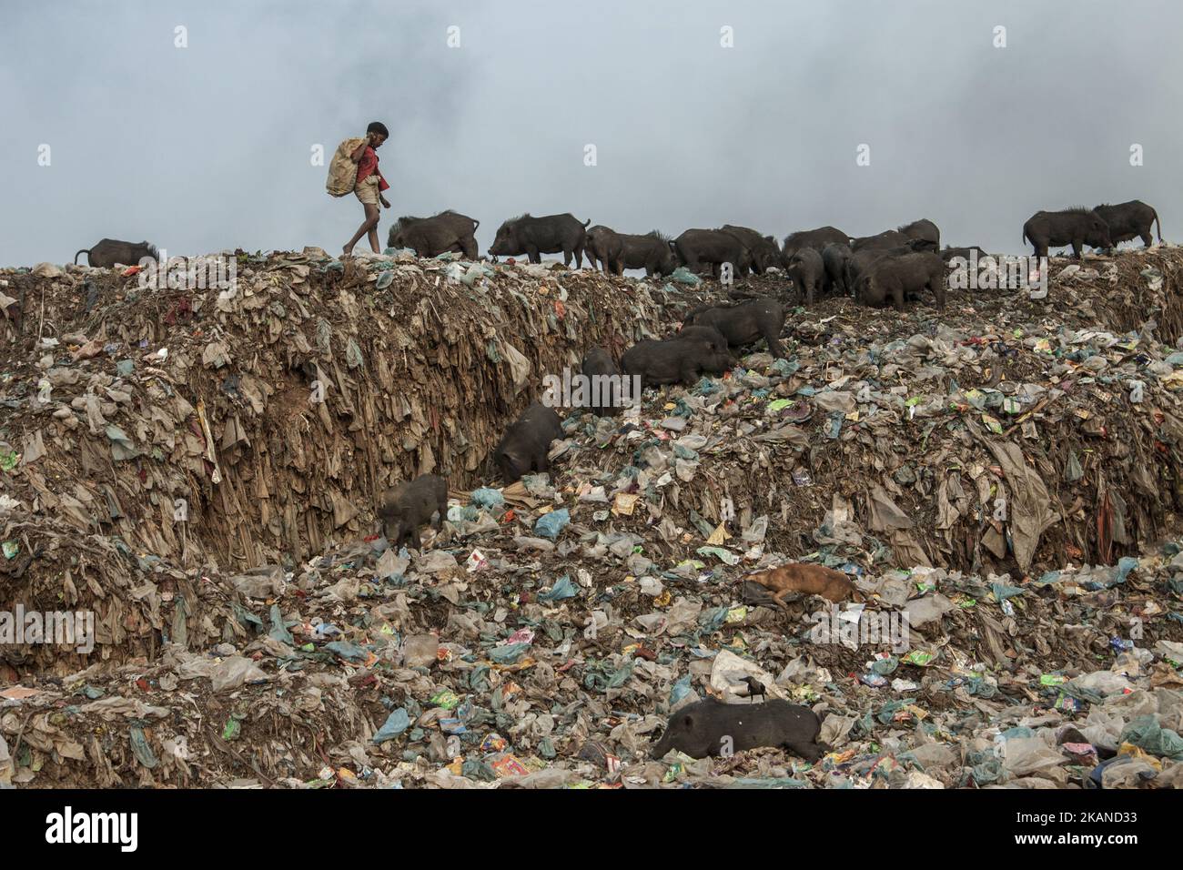 Mountains of Plastic bags in Dhaka, Bangladesh on 30 May 2017. Bangladesh became the first country to regulate disposable bag use when the government banned single-use plastic bags in 2002. At that time environmental groups estimated that about 9.3 million plastic bags were dumped in the Dhaka city alone every day, with only 10-15% being put in dustbins. Despite an awareness program warning of a steep fine and six months of imprisonment, after about a year the plastic bags began to excess the market again due to a lack of enforcement. One of the major impacts of plastic bags in Bangladesh is  Stock Photo