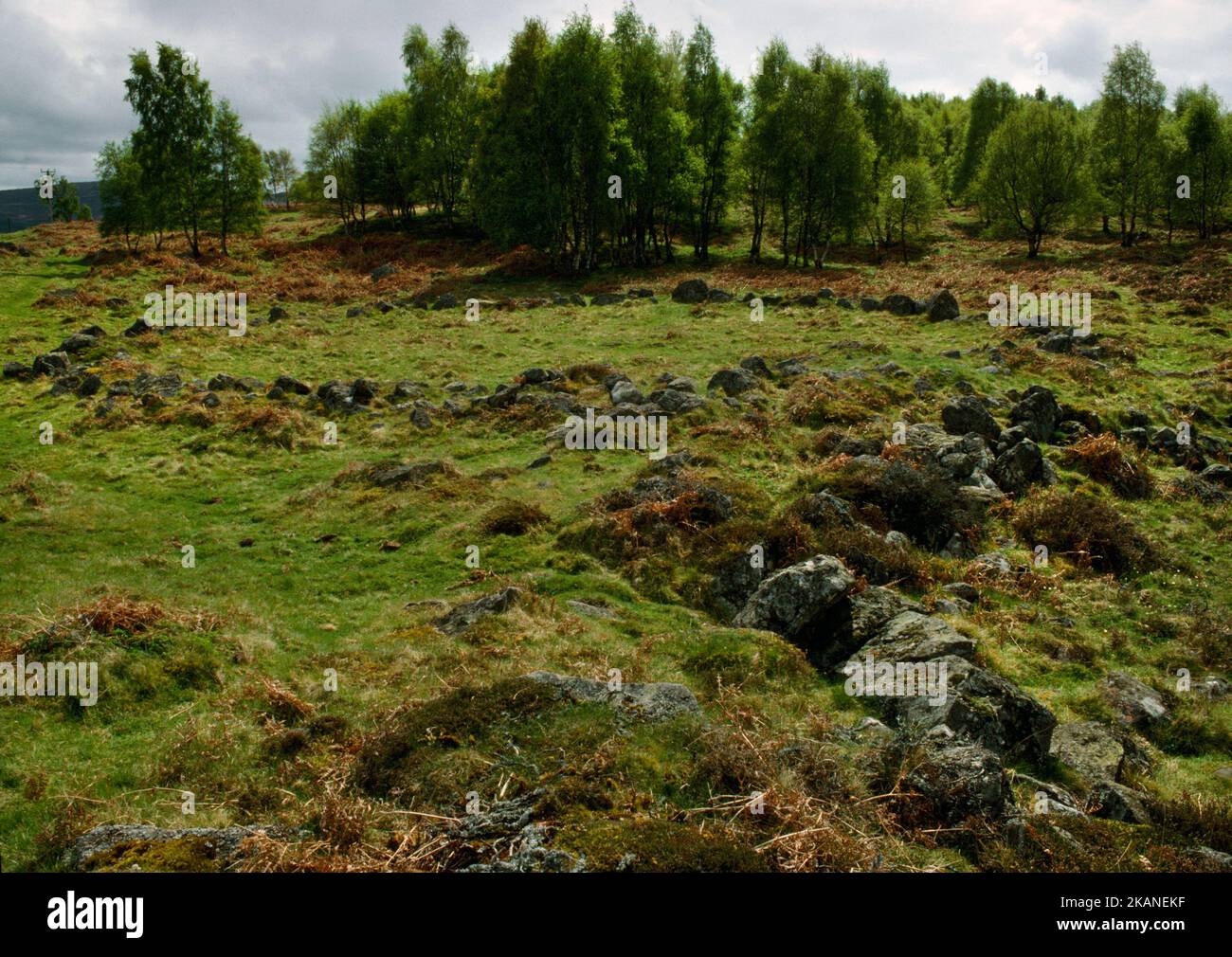 View SW of New Kinord Iron Age settlement of stone-walled houses, stock enclosures, a field system & droveways, Aberdeenshire, Scotland, UK. Stock Photo