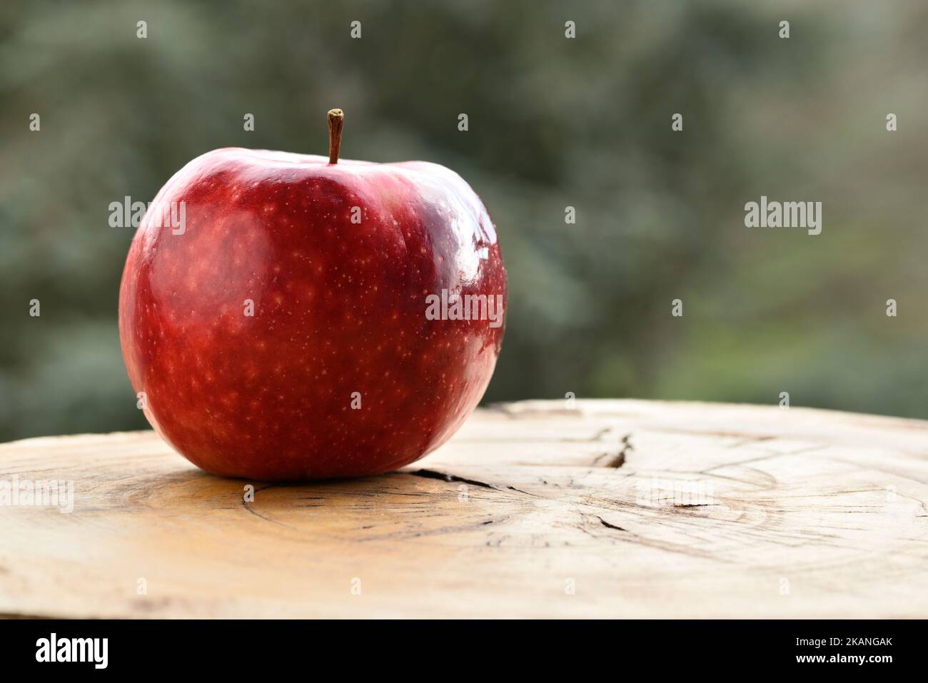 Close up of apple type with red, white, yellow and pink pulp inside Stock Photo