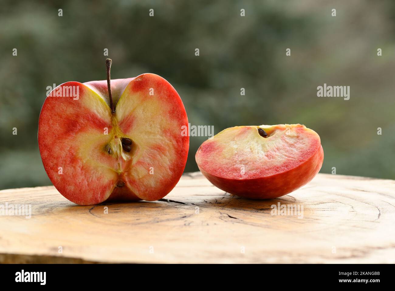 Close up of apple type with red, white, yellow and pink pulp inside Stock Photo