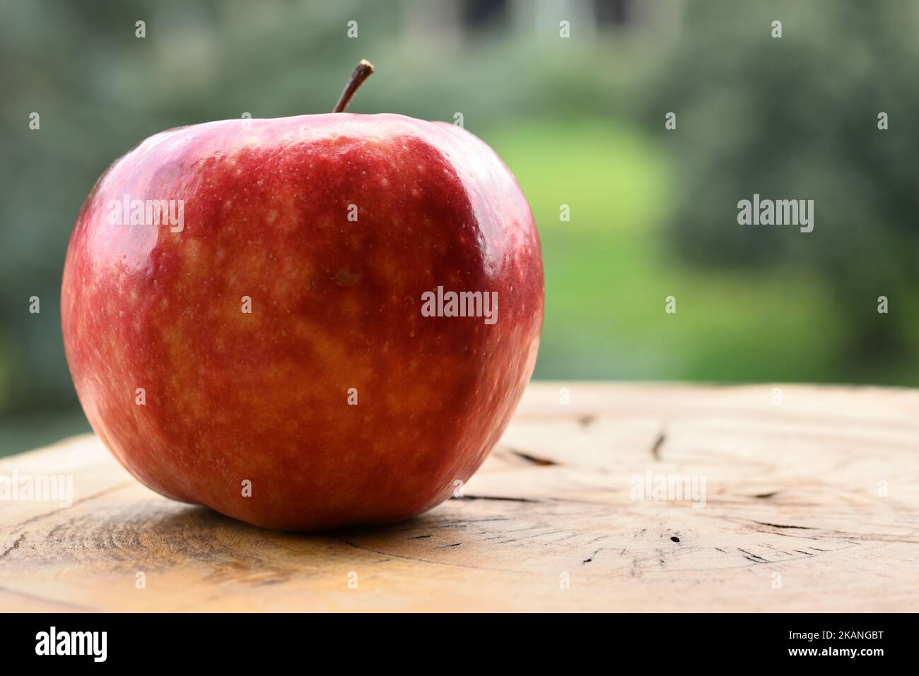 Close up of apple type with red, white, yellow and pink pulp inside Stock Photo