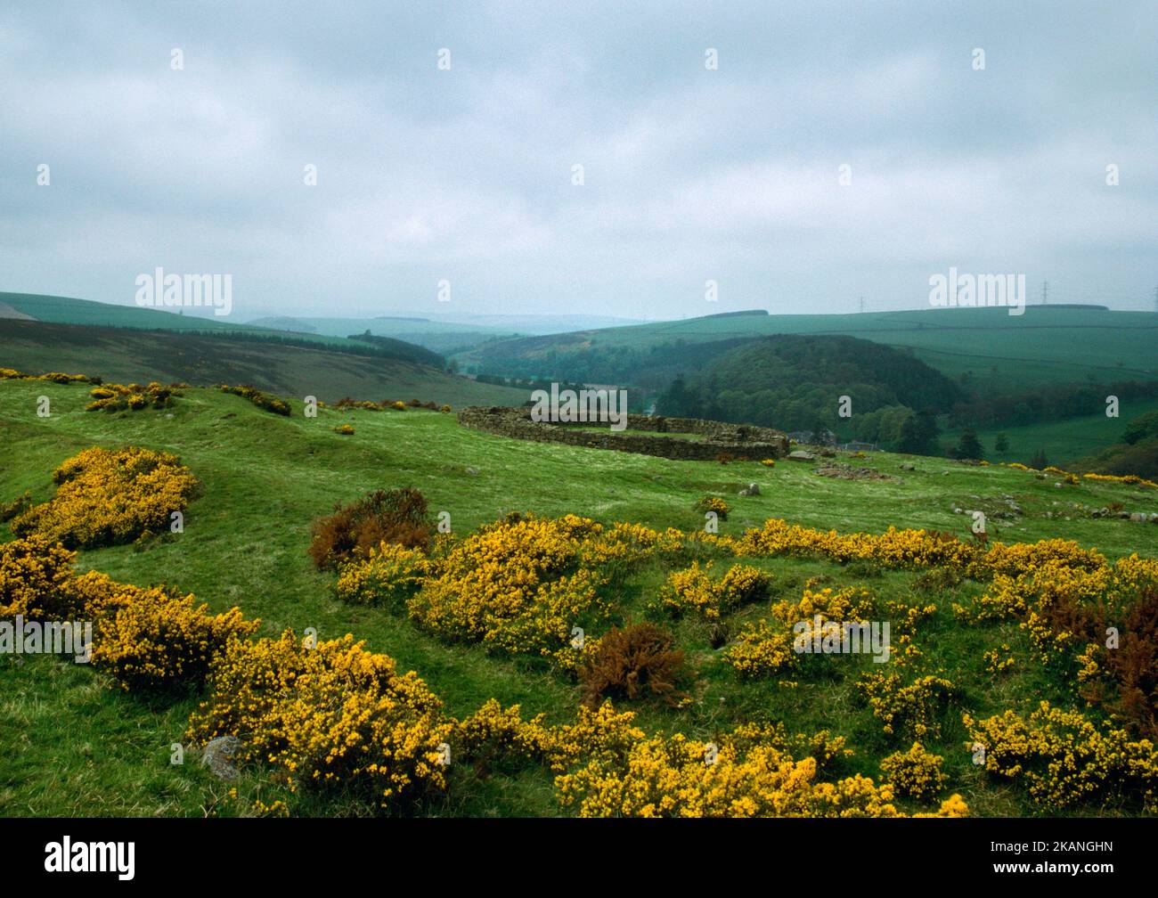 View NNW of Edin's Hall Iron Age broch, Scottish Borders, UK, built inside the ramparts (foreground) of an earlier oval fort measuring 134m x 74m. Stock Photo