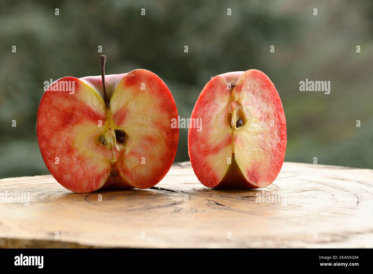 Close up of apple type with red, white, yellow and pink pulp inside Stock Photo