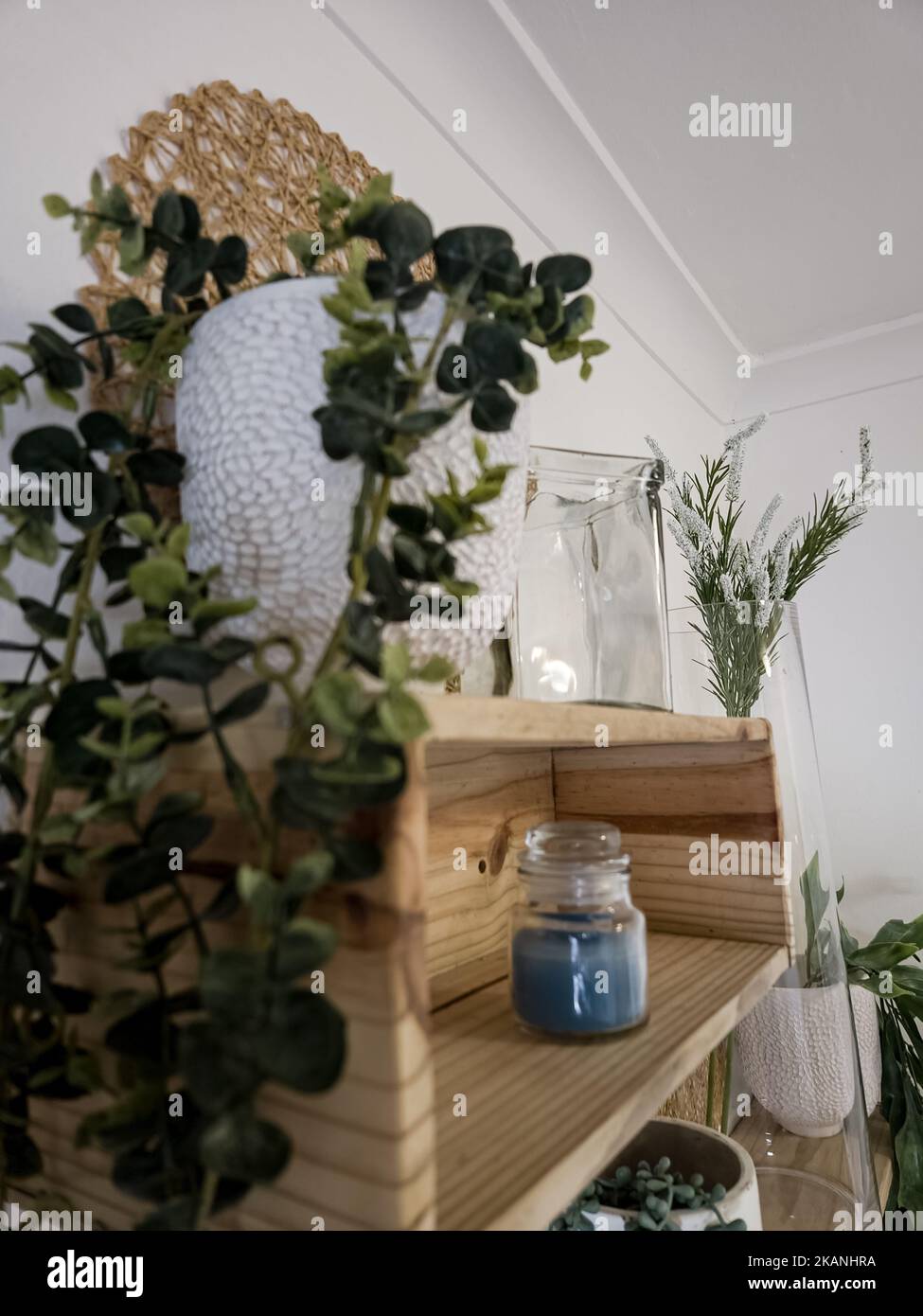 Assorted white potted houseplants on wooden shelves with white wall in ...