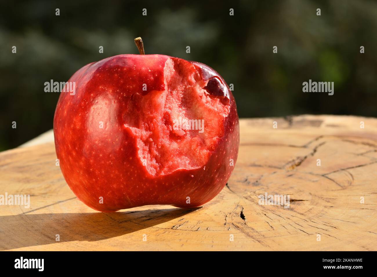 Close up of apple type with red, white, yellow and pink pulp inside Stock Photo