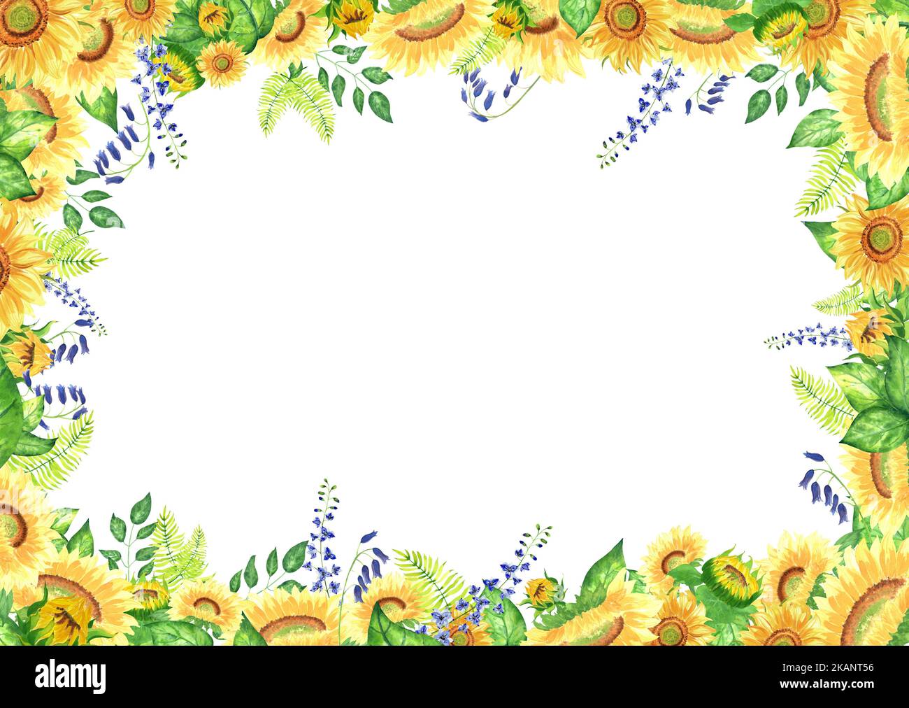 Watercolour flower border hi-res stock photography and images - Alamy