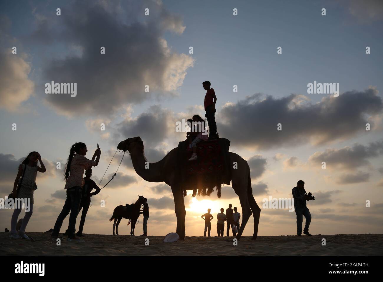 Sipaselects hi-res stock photography and images - Alamy