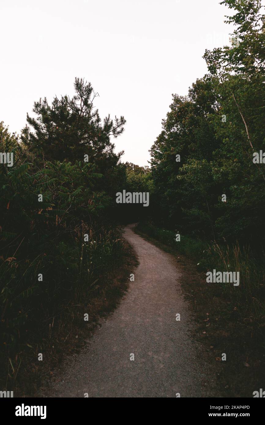 Beautiful shot pathway forest hi-res stock photography and images - Alamy