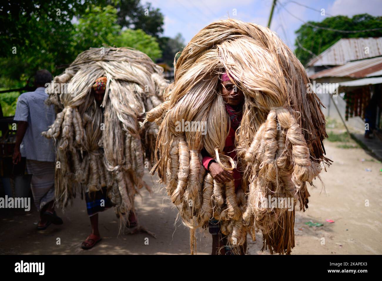 A Bangladeshi worker carries jute for trade at a local market in Ashulia, outside of Dhaka, Bangladesh, August 3, 2017. Bangladesh produces the finest quality natural jute fiber. As such Bangladeshi jute product manufacturer or exporter has an extra advantage in manufacturing top grade jute products by using best quality natural fiber. (Photo by Mehedi Hasan/NurPhoto) *** Please Use Credit from Credit Field *** Stock Photo