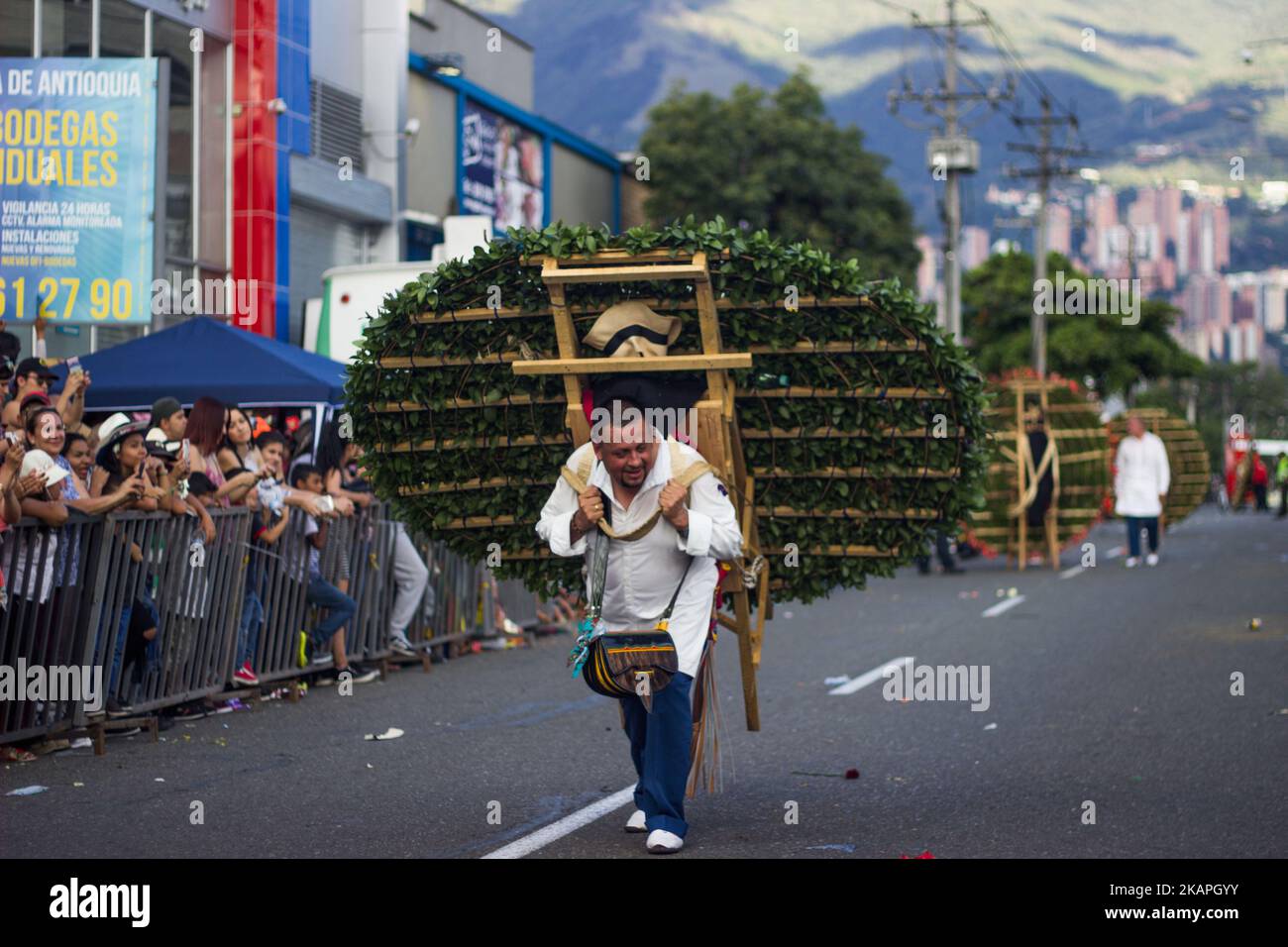A man carries flowers with the wooden crate in his back during the last day of the Festival of the Flowers at Guayabal avenue in Medellin, Colombia on August 8, 2017. (Photo by Daniel Garzon Herazo/NurPhoto) *** Please Use Credit from Credit Field *** Stock Photo