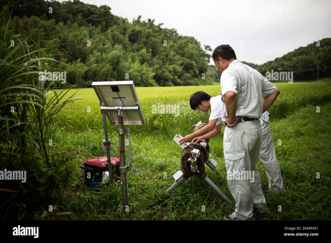 Members of JA Kisarazu-shi, shows a robot named 'Super Monster Wolf' a solar powered robot designed to scare away wild animals from farmer’s crops in Kisarazu, southwestern Chiba Prefecture, Japan on August 10, 2017. (Photo by Richard Atrero de Guzman/NUR Photo) *** Please Use Credit from Credit Field *** Stock Photo