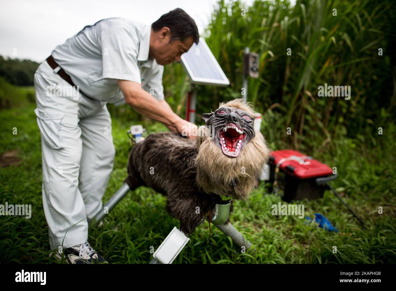 Members of JA Kisarazu-shi, shows a robot named 'Super Monster Wolf' a solar powered robot designed to scare away wild animals from farmer’s crops in Kisarazu, southwestern Chiba Prefecture, Japan on August 10, 2017. (Photo by Richard Atrero de Guzman/NUR Photo) *** Please Use Credit from Credit Field *** Stock Photo