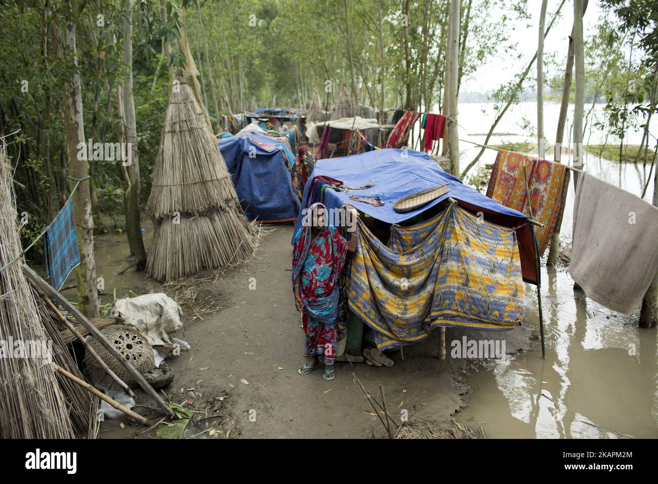 A woman moves to other place for continuous flooding in Sariakandhi area at Bogra, Bangladesh on August 16, 2017. Peoples’ suffering continues as many of them left their homes along with their cattle, goats, hens and other pets and took shelter in safe areas and many of these people have still not been able to return as water has not fully receded from their homes. Flood-related incidents in Dinajpur, Gaibandha and Lalmonirhat raising the death toll to 30 in the last three days across the country. (Photo by KM Asad/NurPhoto) Stock Photo