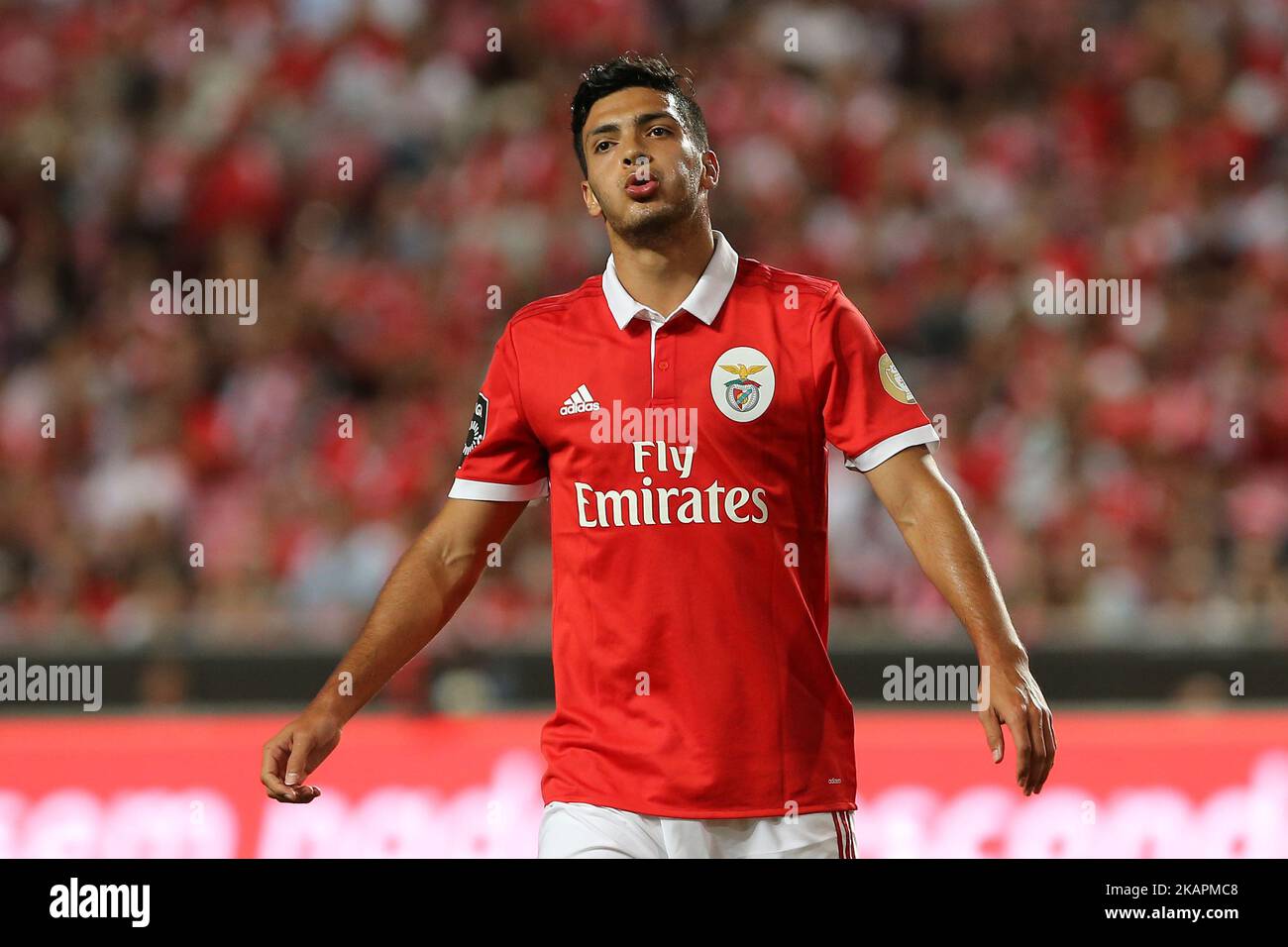 Benficas forward Raul Jimenez from Mexico during the Premier League 2017/18 match between SL Benfica v CF Belenenses, at Luz Stadium in Lisbon on August 19, 2017. (Photo by Bruno Barros / DPI / NurPhoto) Stock Photo