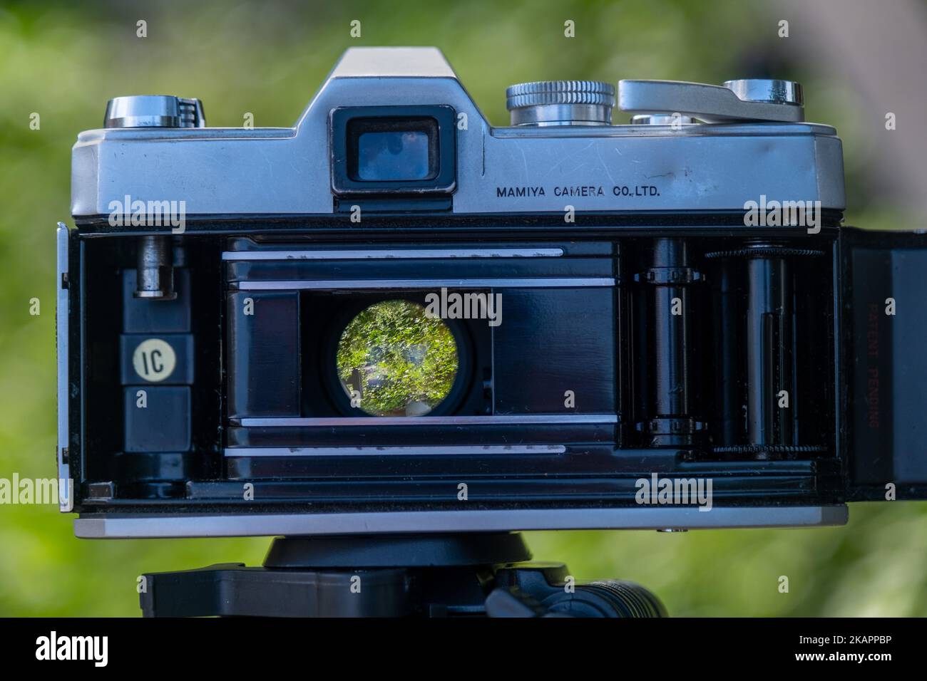 A closeup of a Mamiya DTL 1000 Film Camera Stock Photo