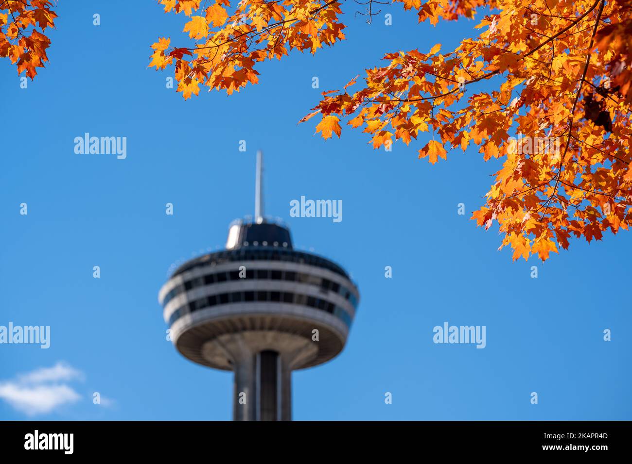 Niagara Falls, Ontario, Canada October. Skylon Tower, autumn maple leaves over blue sky. Fall