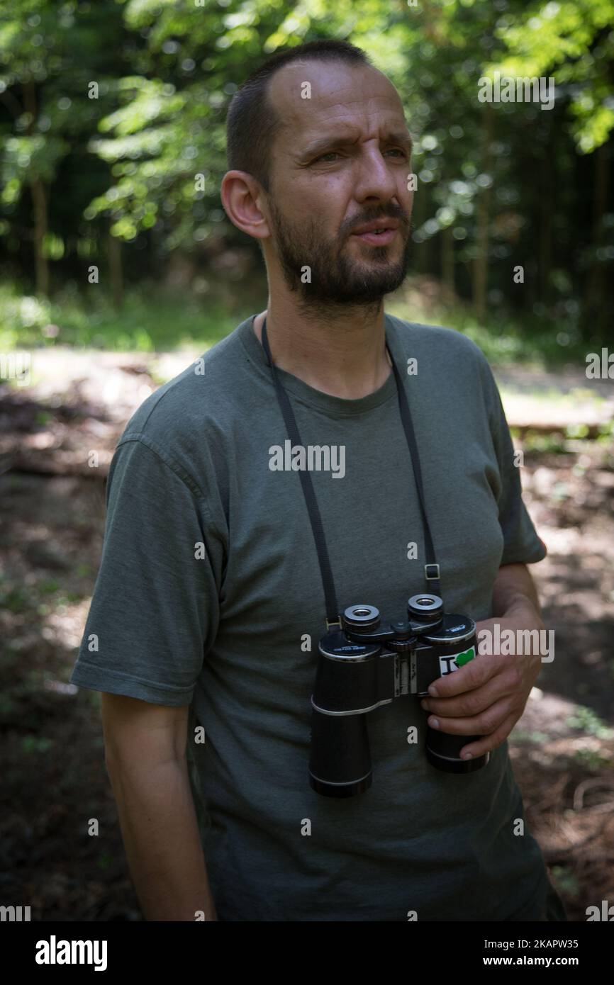 Michal, an activist and ornithologist is seen guiding journalists through Europes last primeval forest in Bialowieza, Poland on 19 July, 2017. (Photo by Jaap Arriens/NurPhoto) Stock Photo