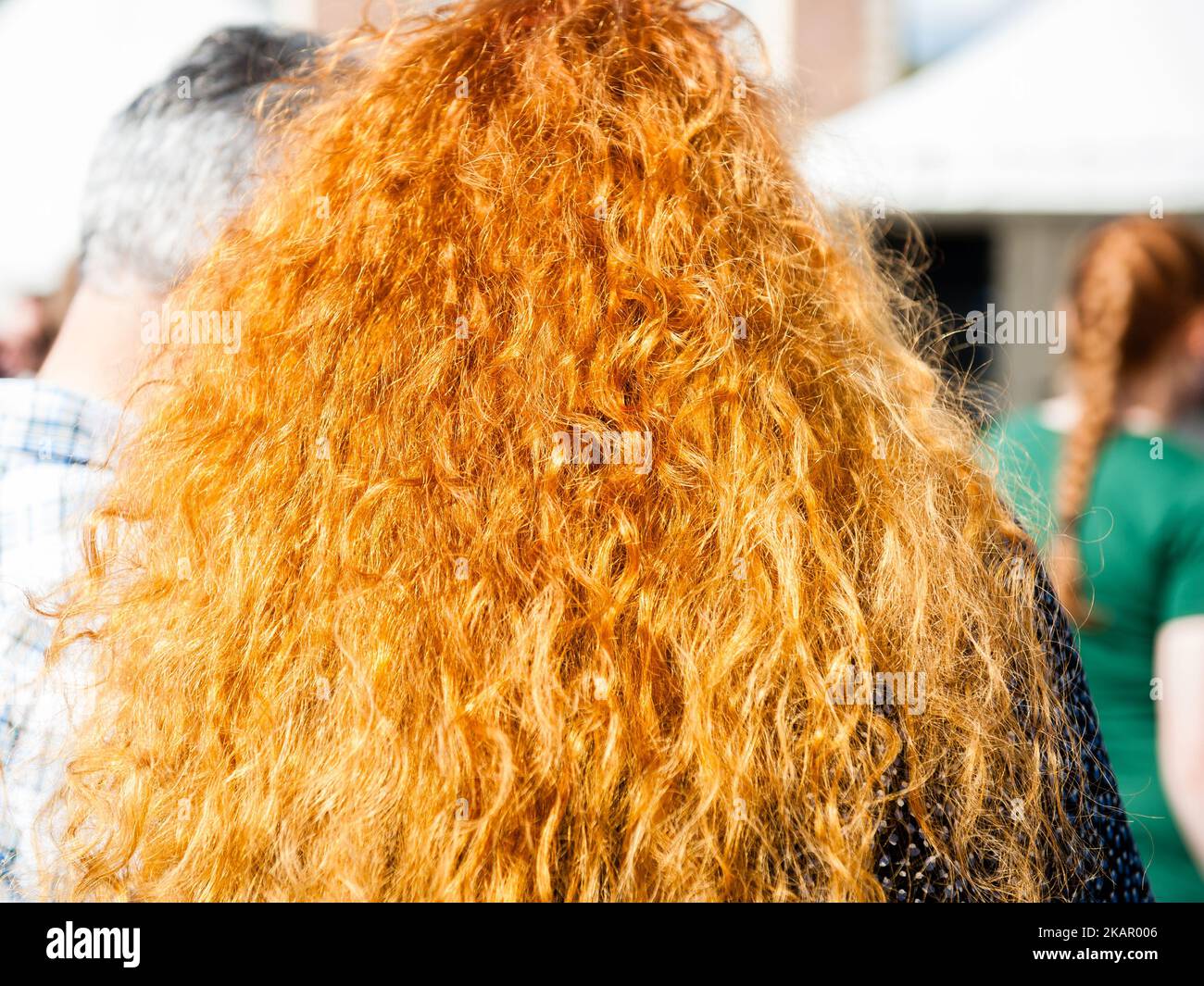 On 2nd September in Breda, Netherlands. Every year thousands of natural redheads gather in the