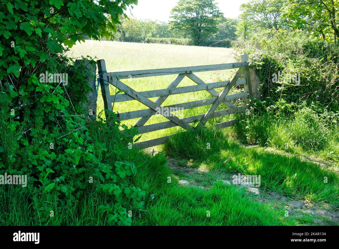 Wooden five barred gate in summer sunshine John Gollop Stock Photo