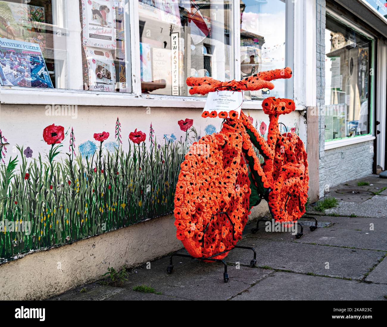 Decorated Poppy Appeal bicycle in street Stock Photo