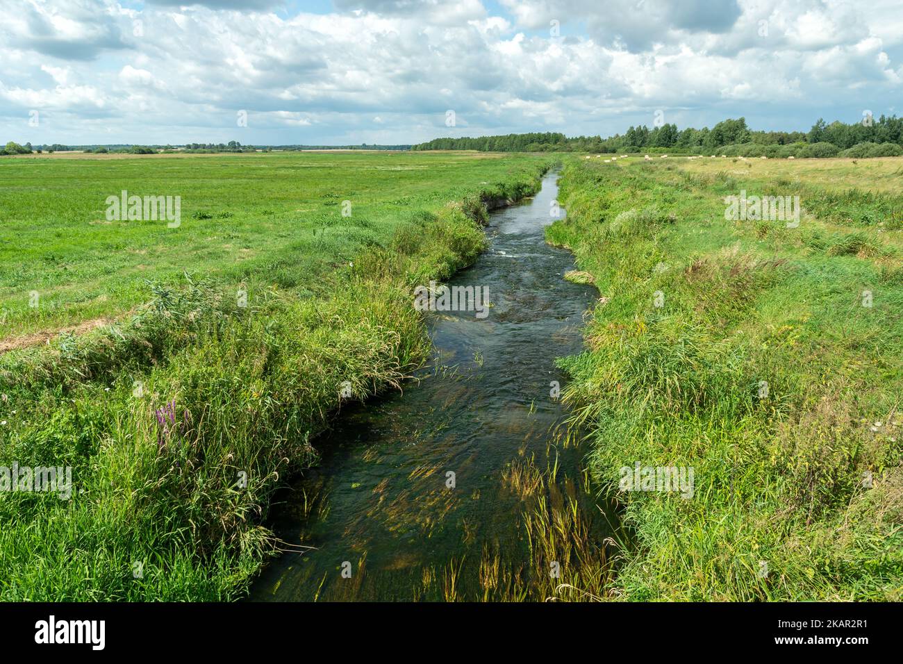 The small river Uherka in eastern Poland, summer day Stock Photo