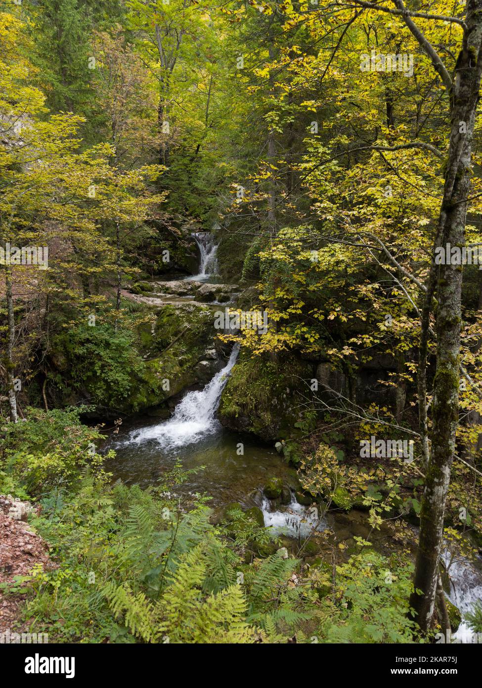 A vertical shot of waterfalls in the forest Stock Photo - Alamy