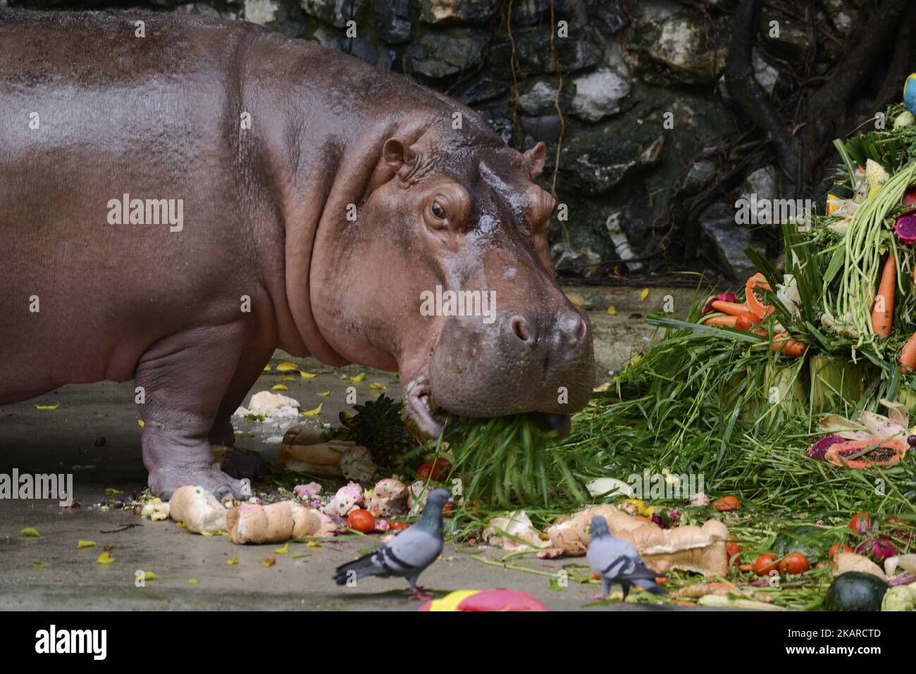 happy 4th birthday hippo cake