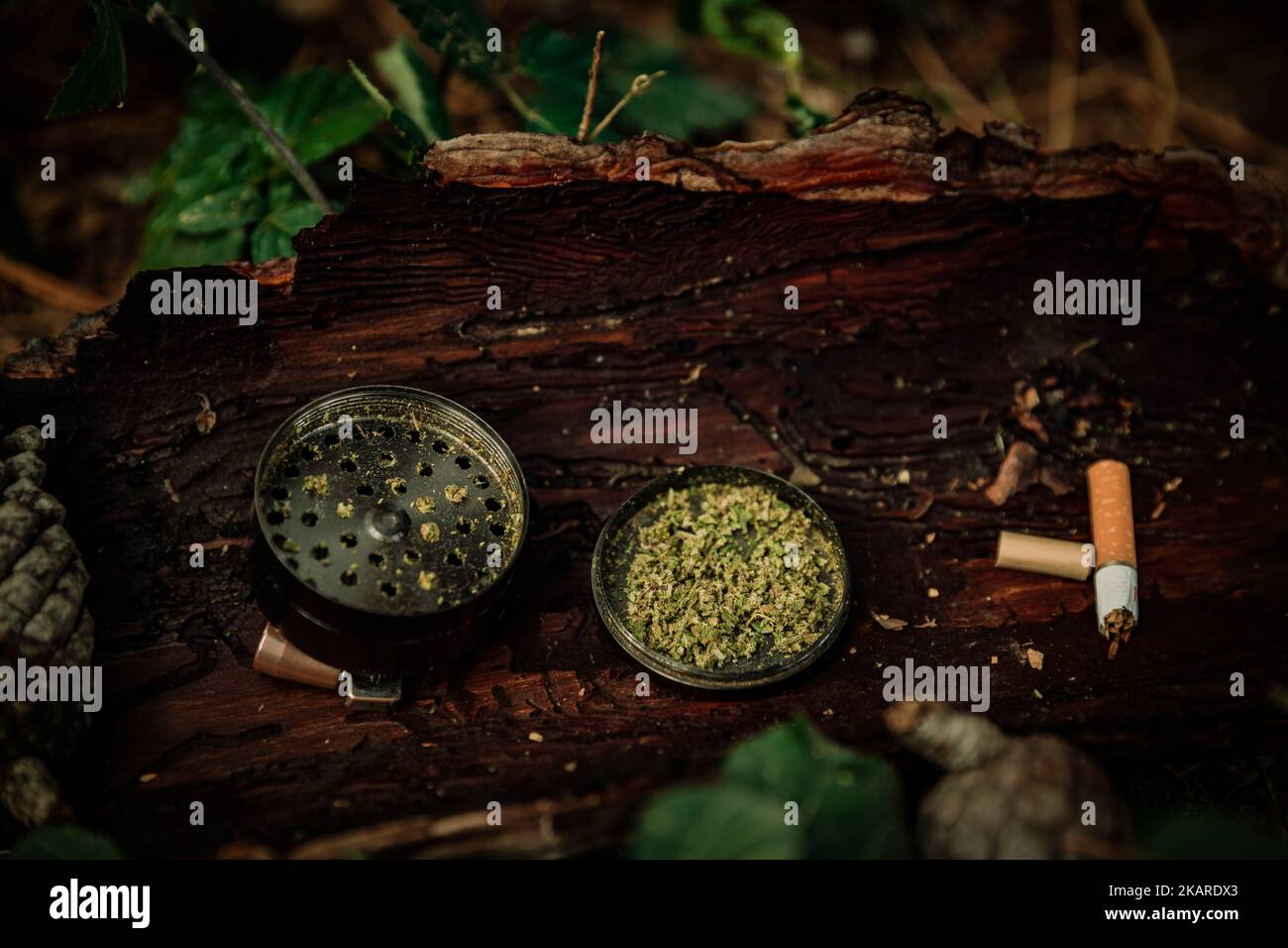 marijuana inside a grinder on top of a piece of wood Stock Photo Alamy