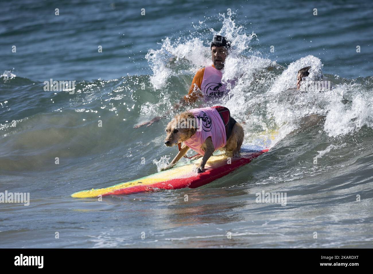 Para surfers from around the globe compete this week in Huntington Beach –  Orange County Register