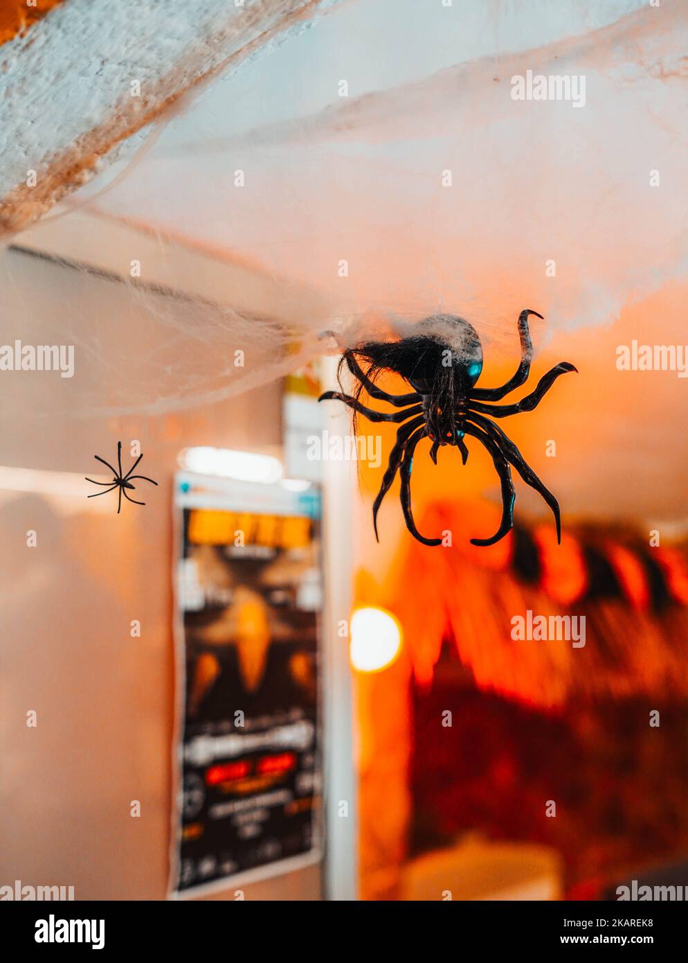 Wandering ghost spider hi-res stock photography and images - Alamy