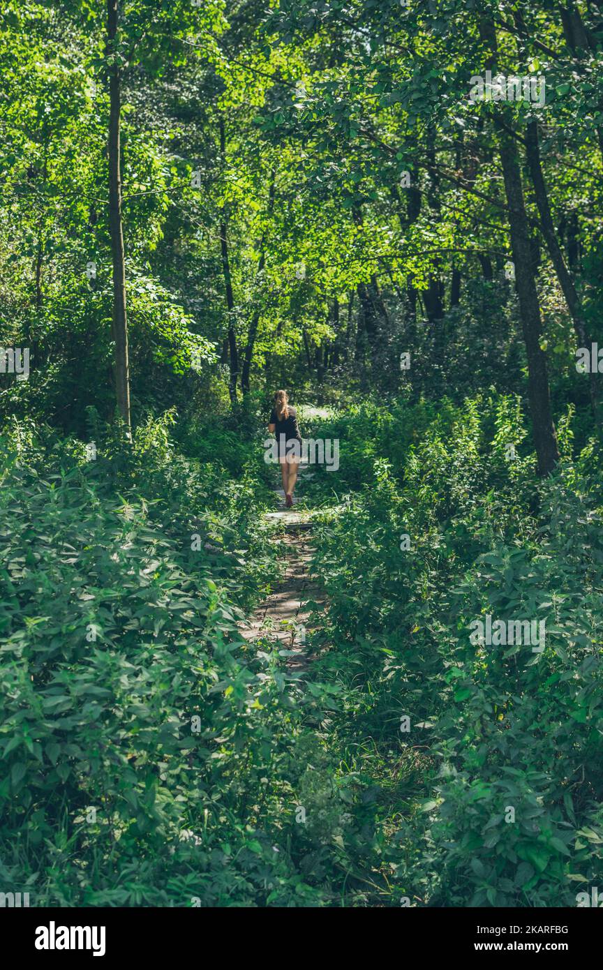 Woman walks on old wooden path in green forest thickets Stock Photo