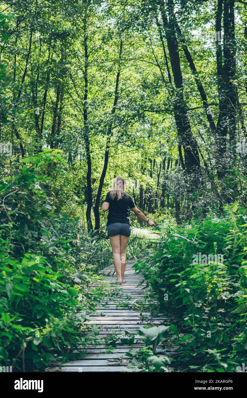 Woman walks on old wooden path in green forest thickets Stock Photo