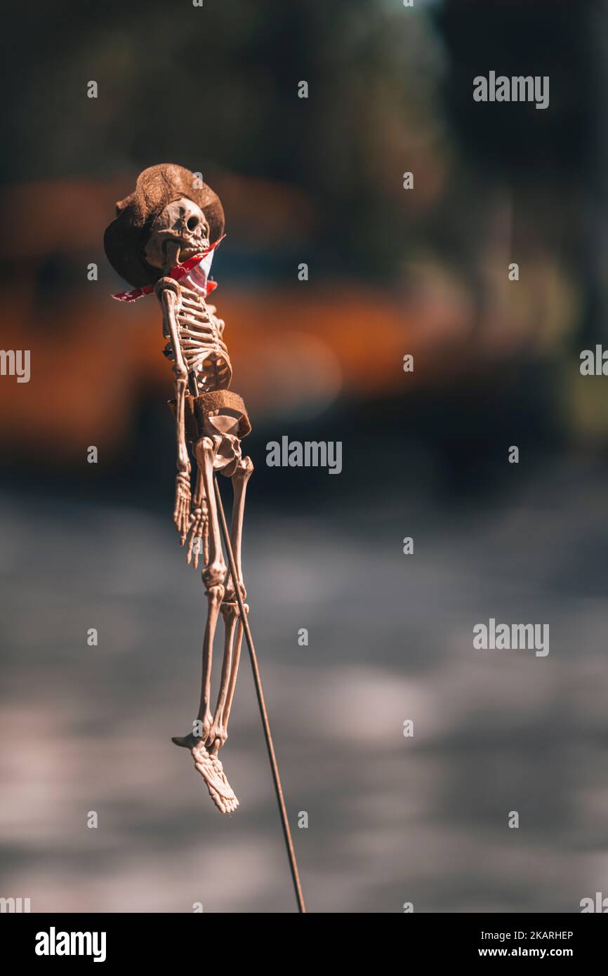 skeleton decoration Halloween MIAMI FLORIDA Stock Photo Alamy