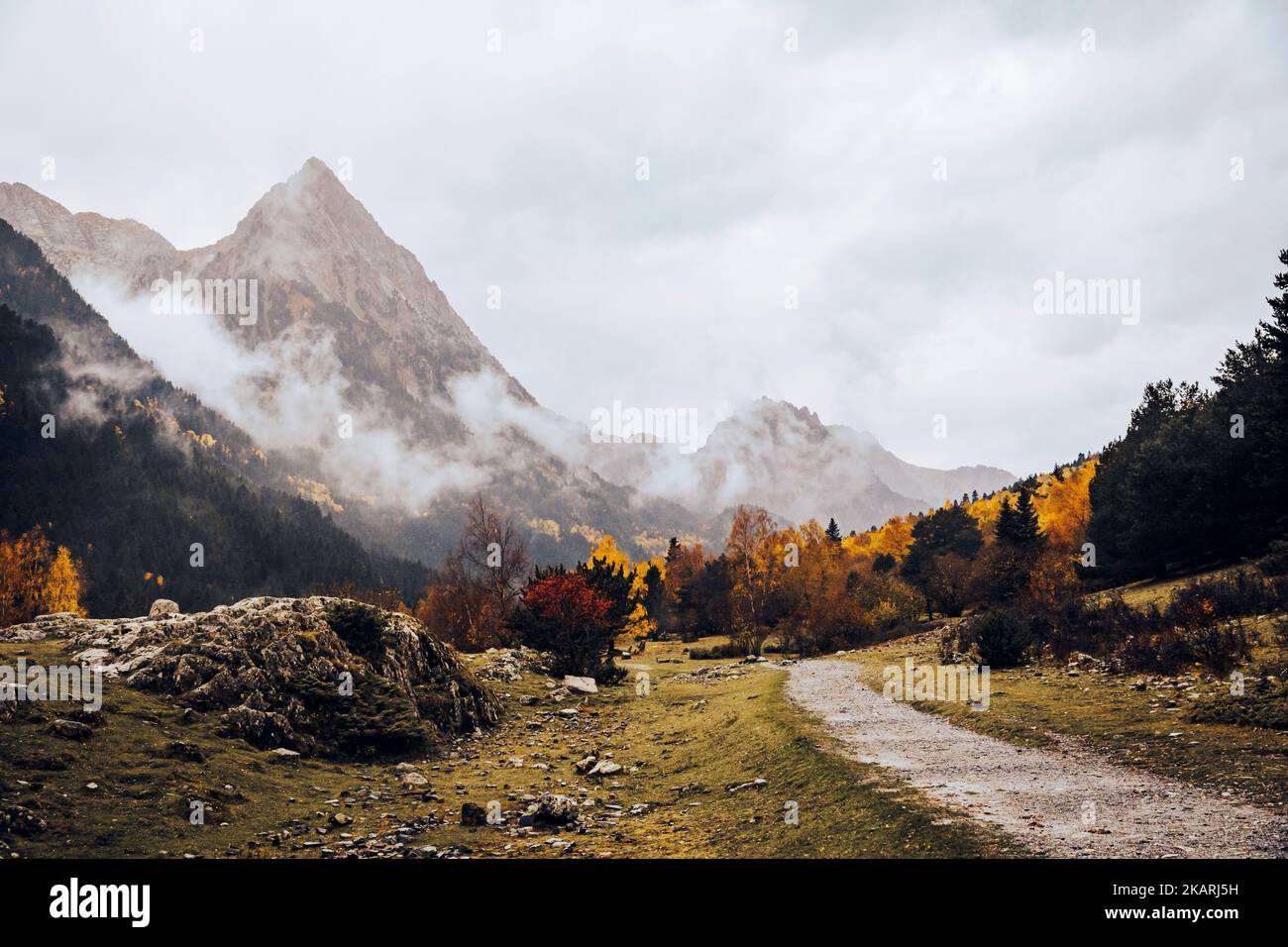 Path in a forest with mountains in the background in autumn Stock Photo