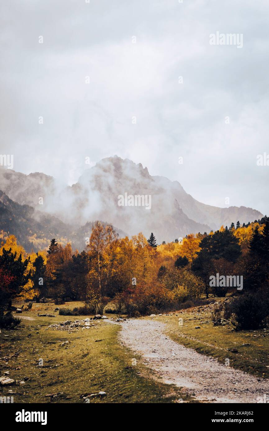 Path in a forest with mountains in the background in autumn Stock Photo
