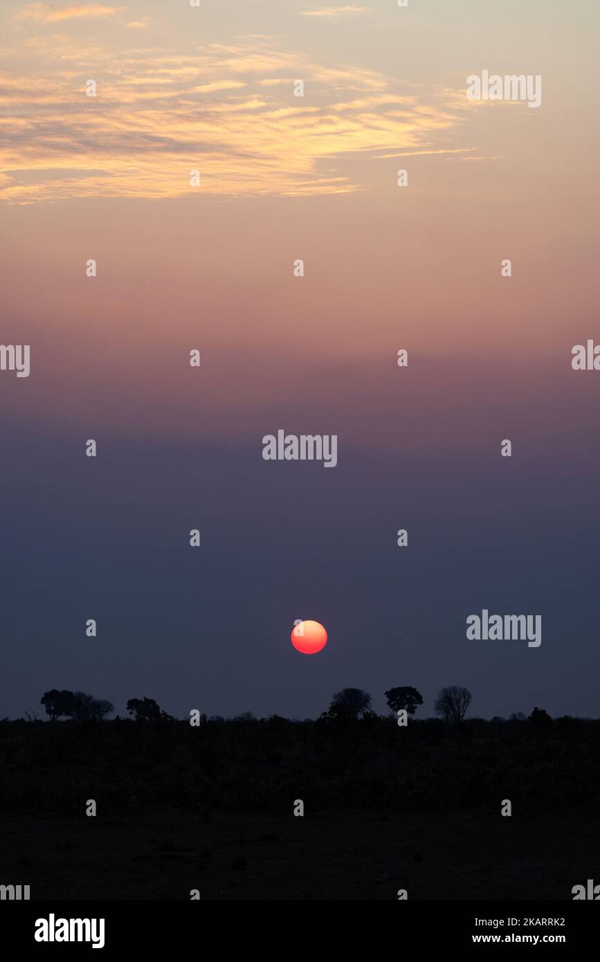 Africa sunset in a red ball above the horizon; Moremi Game reserve, Botswana Africa. African sunset. Stock Photo