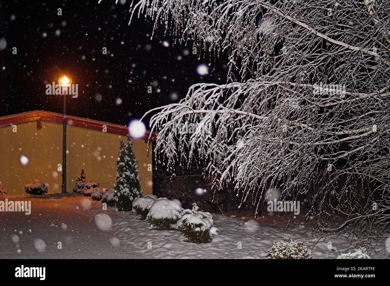 Ostrzeszów, Polska, Poland, Polen; scene winter landscape, snowy scenery at night illuminated by a street lamp; verschneite Winterlandschaft bei Nacht Stock Photo