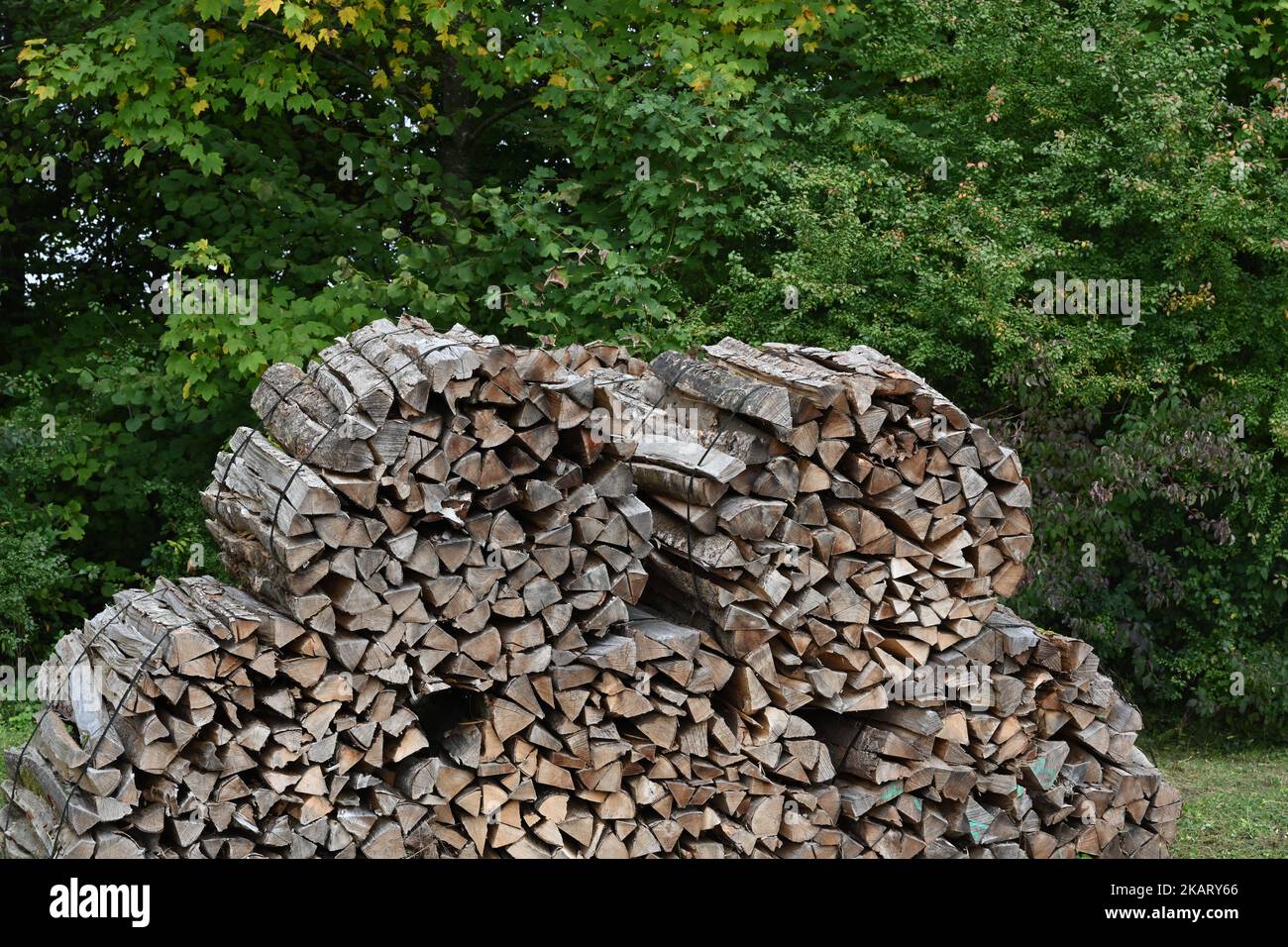 Logs of firewood bound together into big bundles. There are five bundles stacked together and stored outside. Stock Photo