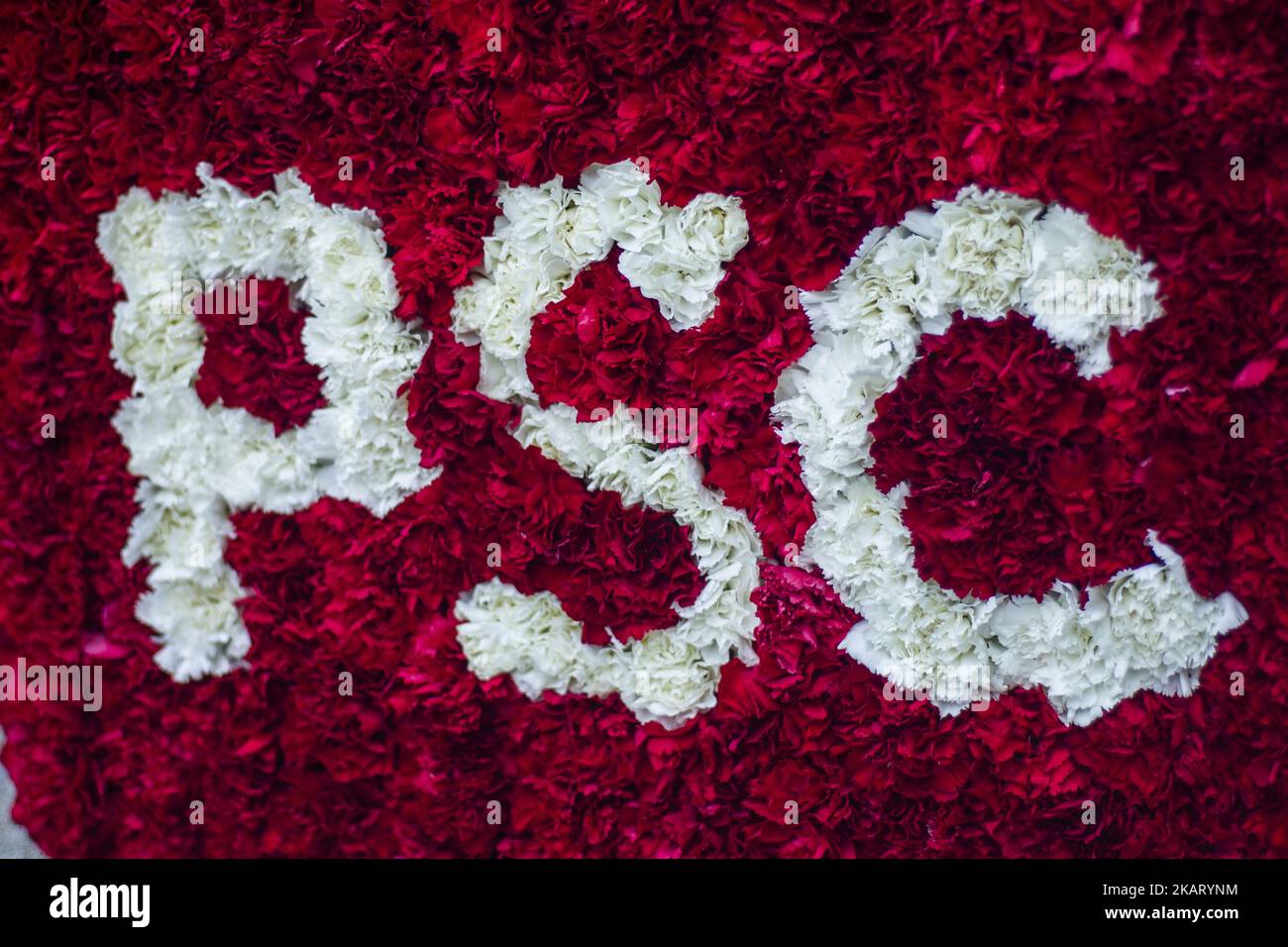 Flowers tribute of PSC during the Conmemoration of the 77 years since the execution of the independence President of Catalonia Lluis Companys by Franco dictator. On October 15, 2017 In Barcelona, Spain. (Photo by Xavier Bonilla/NurPhoto) Stock Photo