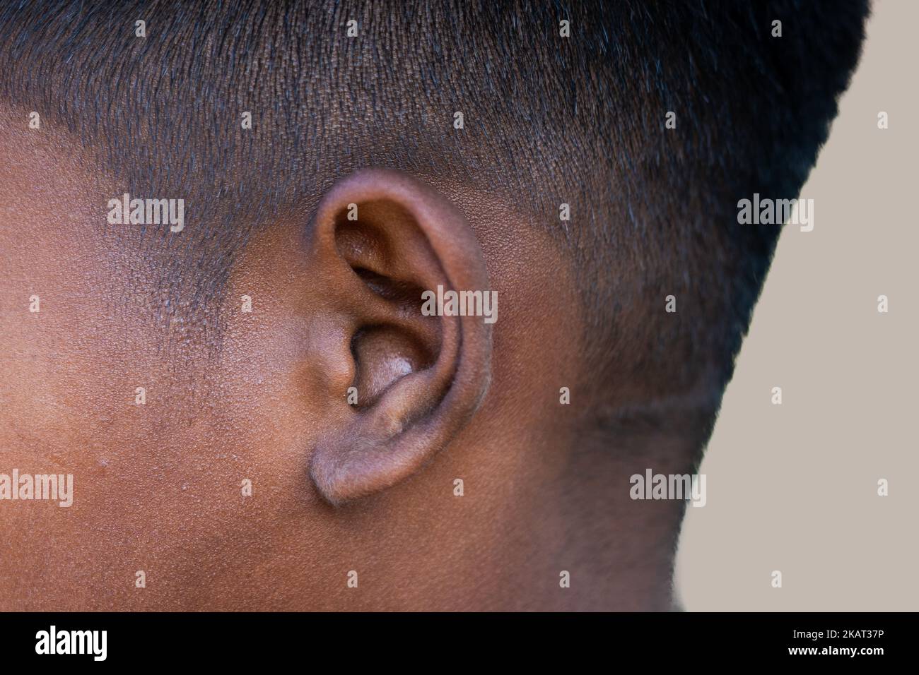 human ear closeup shot or ear ent doctor check Stock Photo Alamy