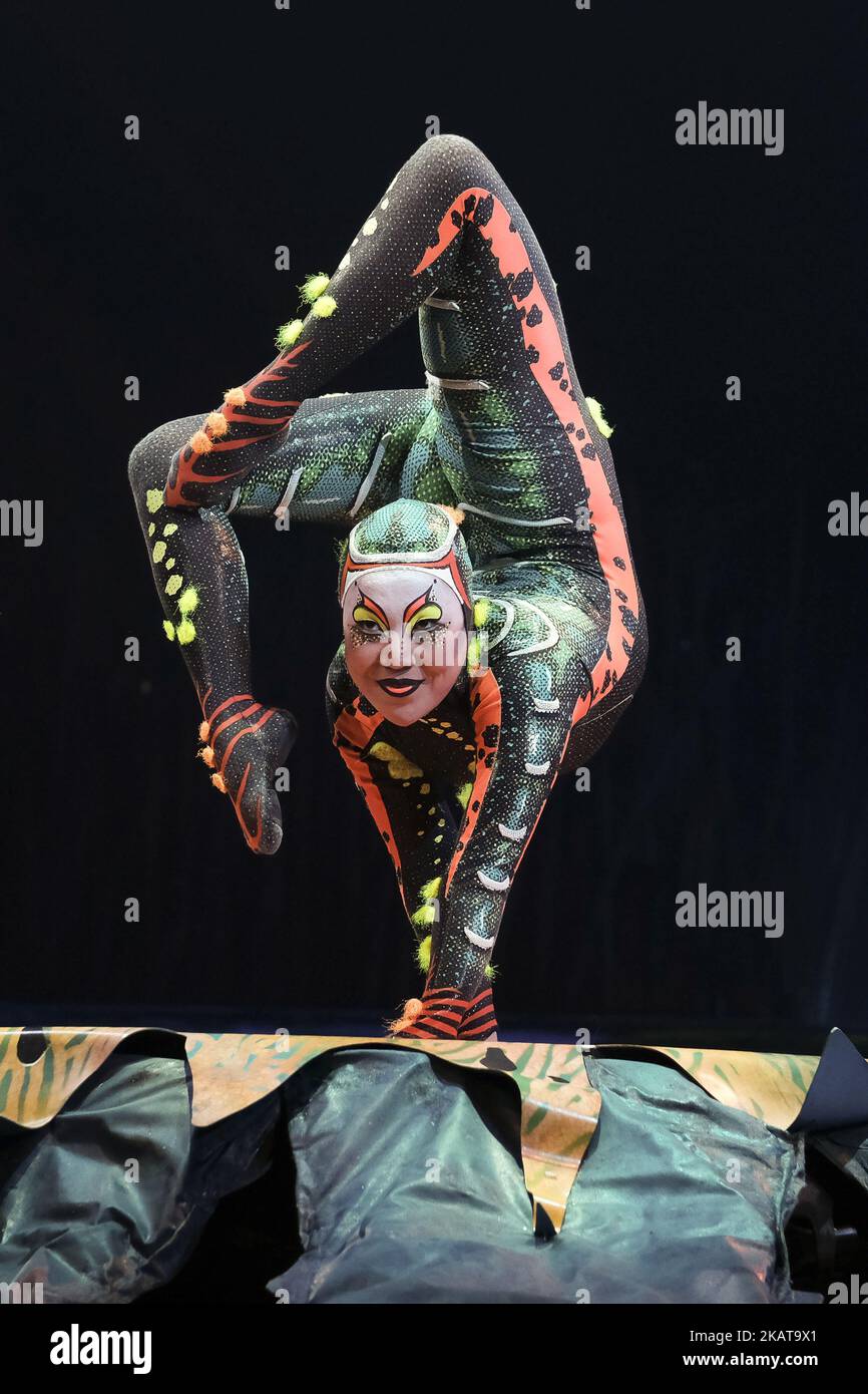 Cast perform during a performance of 'Cirque Du Soleil: Totem' in Madrid, Spain on November 9, 2017. TOTEM is the last circus tent show on tour of Cirque du Soleil, which will run from November 10 to January 14, 2018 in Madrid. Stock Photo