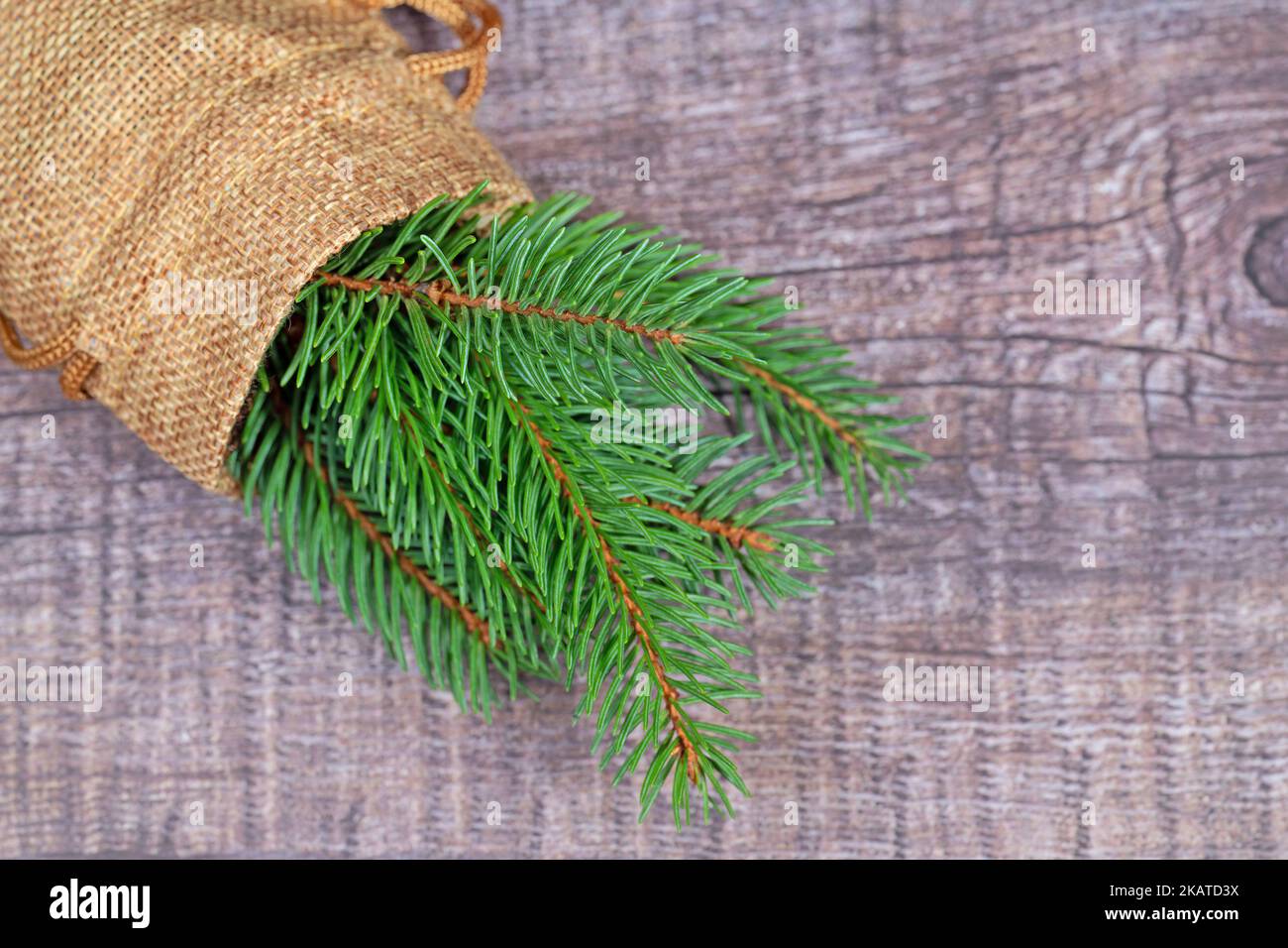 Jute bag with spruce branch Stock Photo