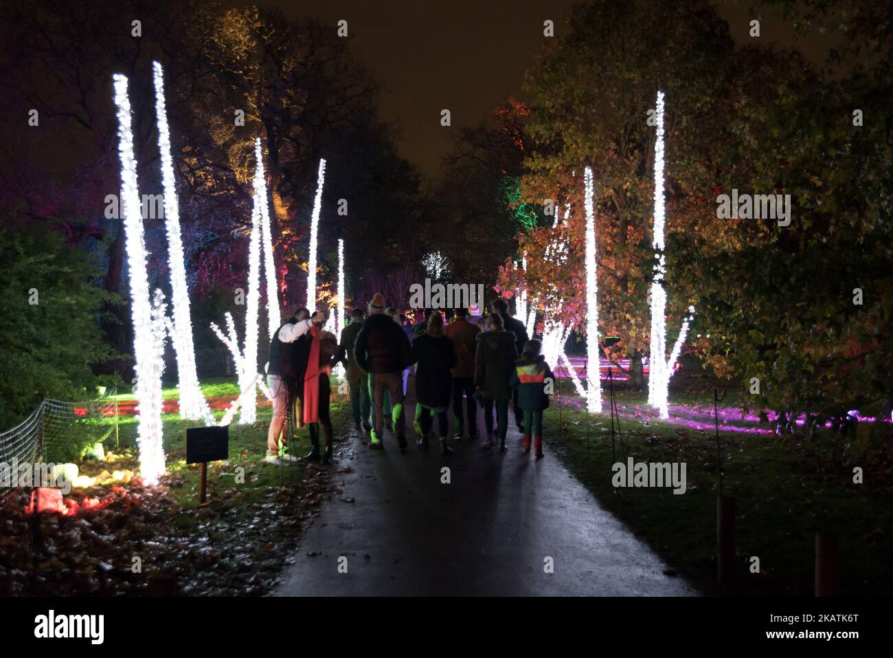 Illumination artworks are pictured at Kew Gardens for 'Christmas at Kew