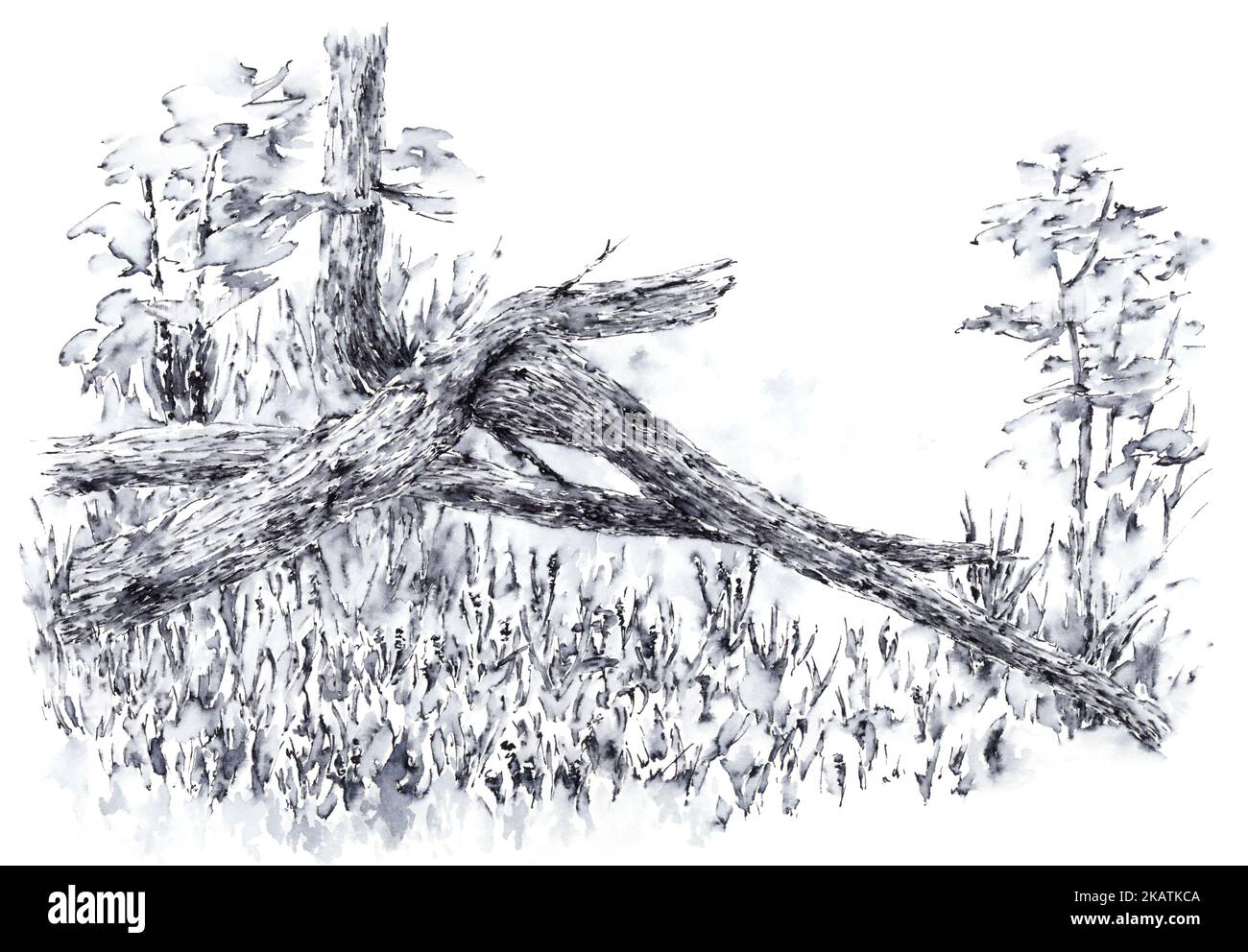 Landscape with broken tree trunk. Ink on paper. Stock Photo