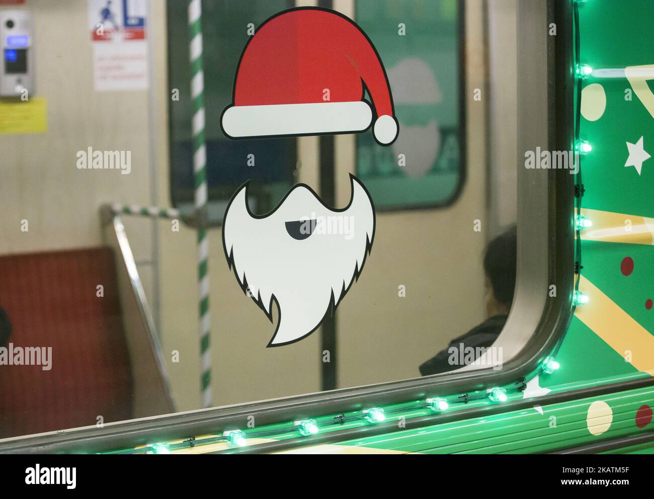 hoya kerrii variegata splash Hoya kerrii Albomarginata Spot Margin