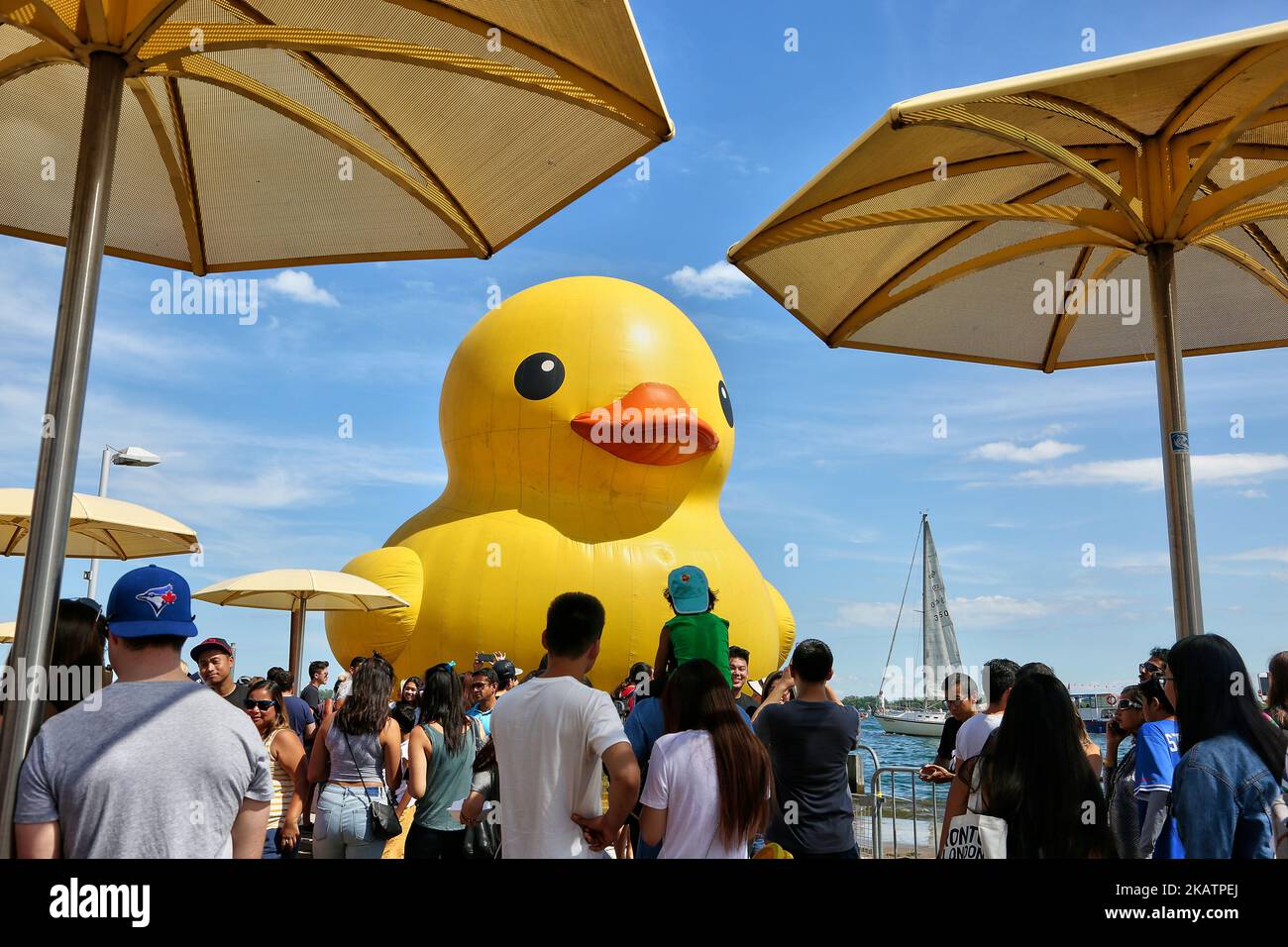 The world’s largest rubber duck arrived in Toronto, Ontario, Canada, on