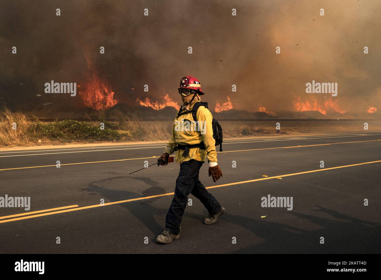 A firefighter at the Thomas wildfire in Ventura, California on December 7, 2017. Firefighters across Southern California are battling six major fires that are fueled by strong Santa Ana winds with wind gusts of 70 miles per hour. (Photo by Ronen Tivony/NurPhoto) Stock Photo