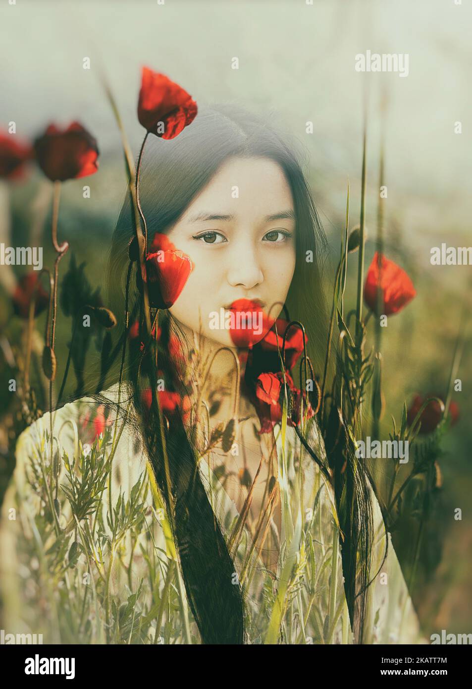 young chinese among poppies in romantic attitude Stock Photo