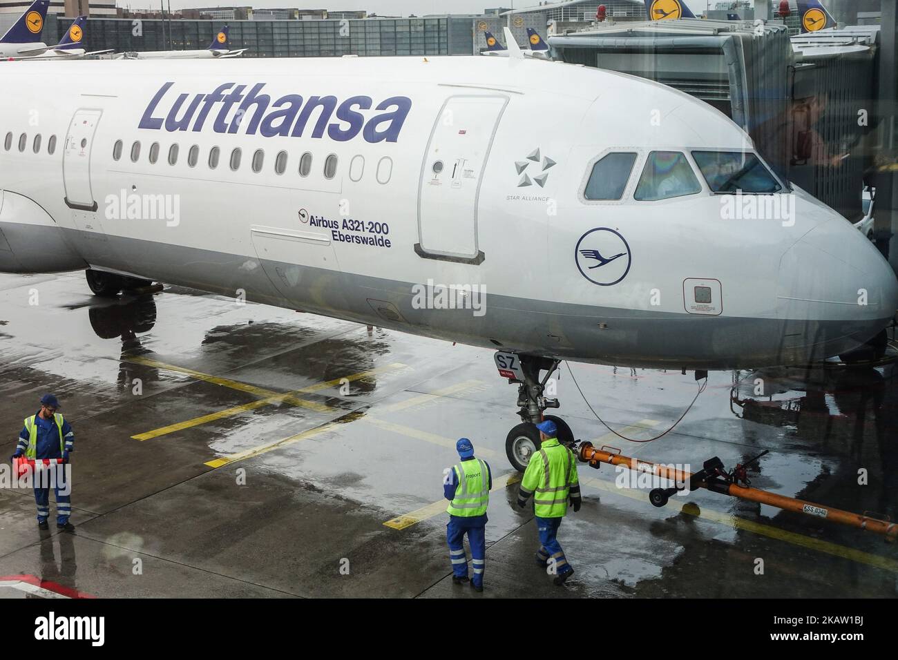 Lufthansa's fleet as seen in Frankfurt Airport in Germany, the primary hub for the airline. Lufthansa is the world's 10th largest airline by passengers carried in 2016. The airline owns a fleeet of 273 aircrafts and 130 orders. Lufthansa both operates the super jumbo jets Airbus A380 and Boeing 747-8 and 747-400. Lufthansa is also the launch customer of the Airbus A320neo series and already flies the A350. The airline is one of the founder members of Star Alliance aviation affiliation. Frankfurt airport is an international airport connecting the German city to the world (Photo by Nicolas Econo Stock Photo