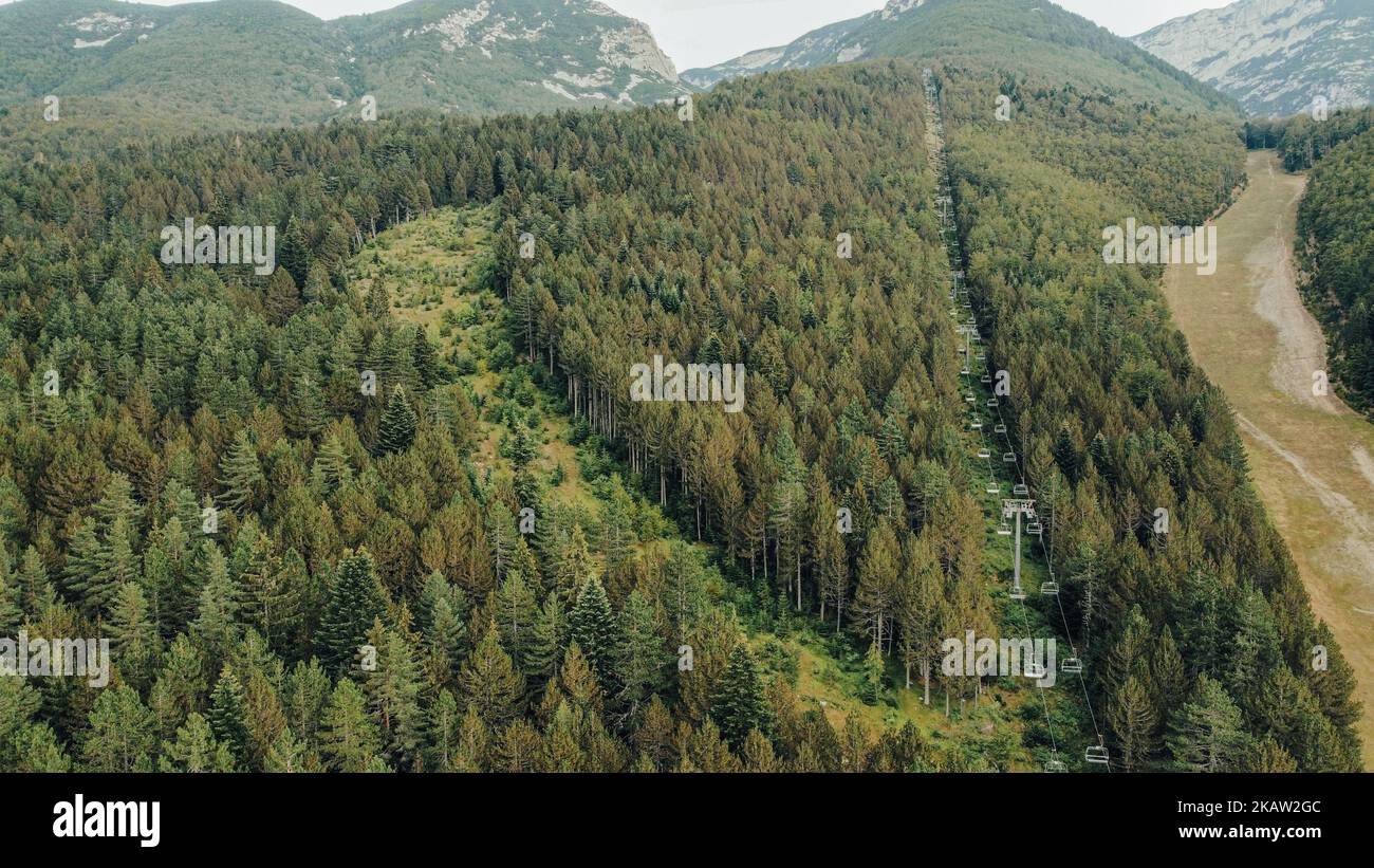 An aerial view of a green forest Stock Photo - Alamy